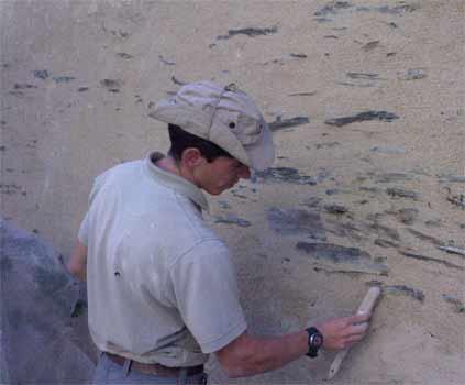 Maçonnerie décorative
